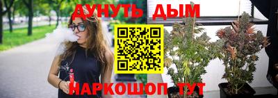 индика Чебоксары