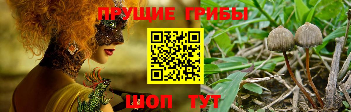 Галлюциногенные грибы GOLDEN TEACHER Нефтеюганск